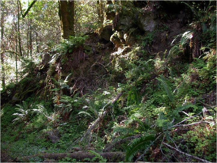 image133.jpg