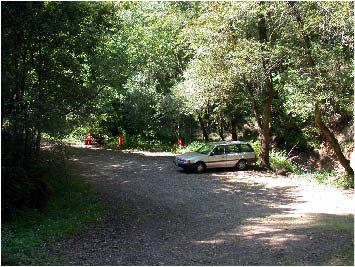 image1.jpg