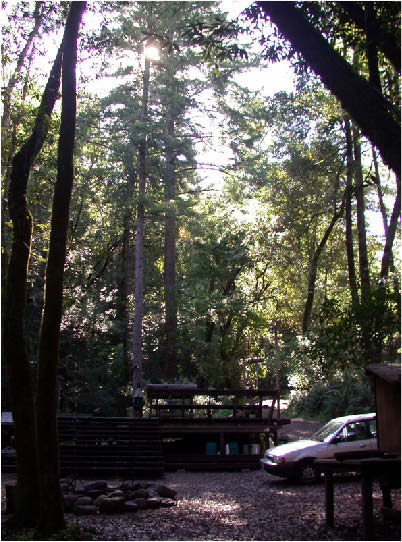 image135.jpg