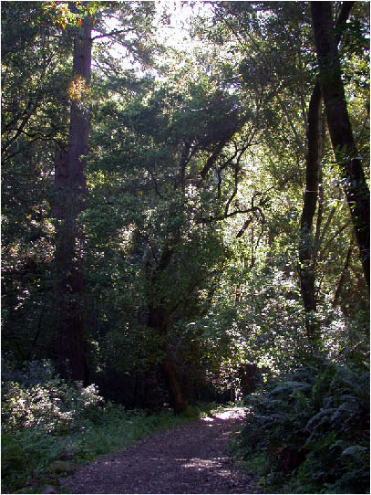 image136.jpg
