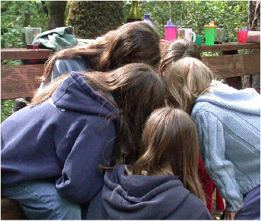 image71.jpg