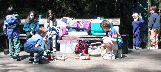 image95.jpg