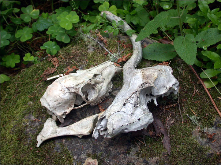 image145.jpg