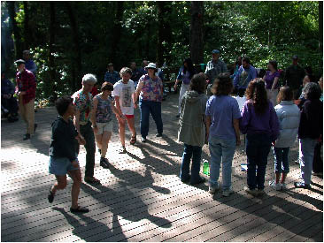 image37.jpg