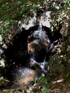 DSCN6679
