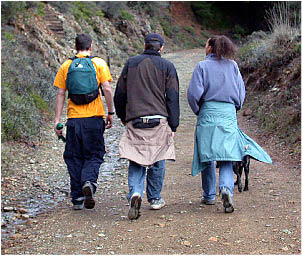 image12.jpg