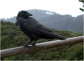 image14.jpg