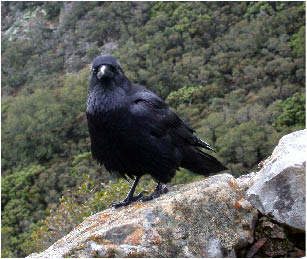 image15.jpg