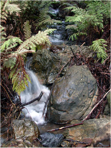 image23.jpg