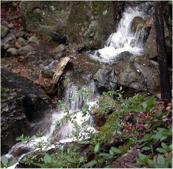 image24.jpg