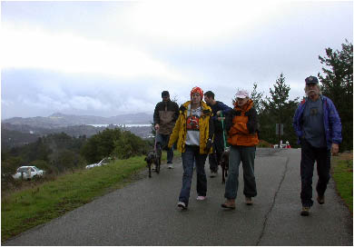 image3.jpg