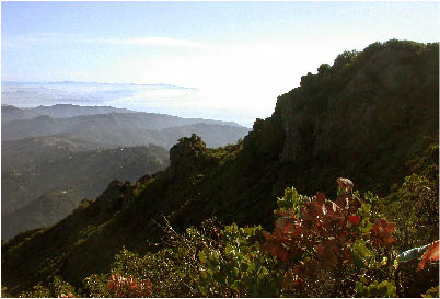 image22.jpg