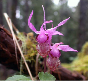 image14.jpg