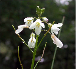 image16.jpg