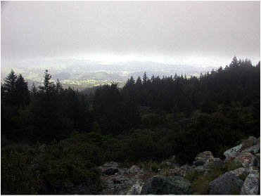 image17.jpg