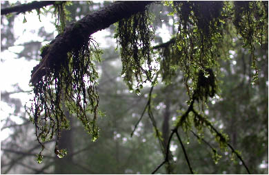 image19.jpg