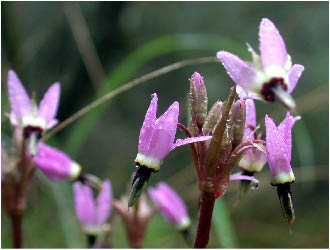 image20.jpg