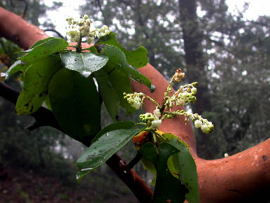 image23.jpg