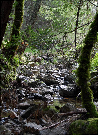 image11.jpg