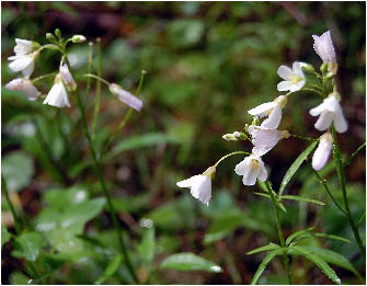 image12.jpg