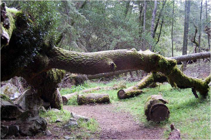 image13.jpg