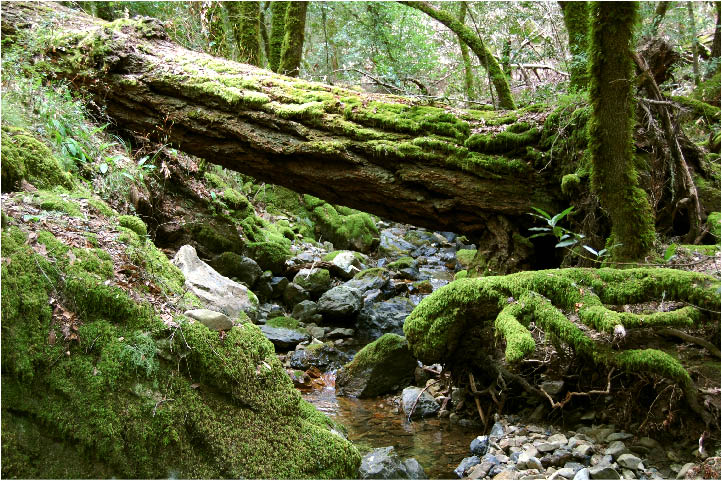 image14.jpg