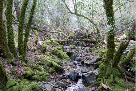 image17.jpg