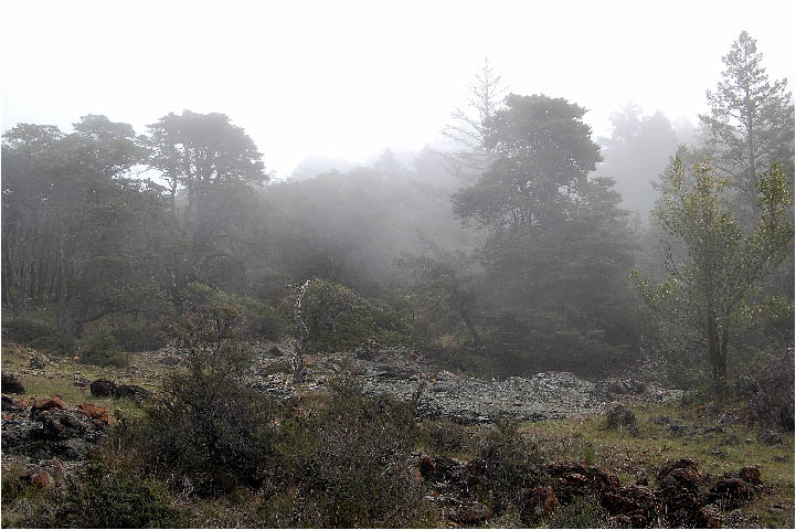 image22.jpg