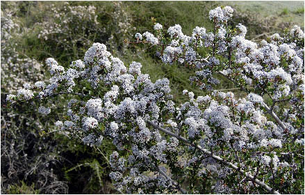 image23.jpg