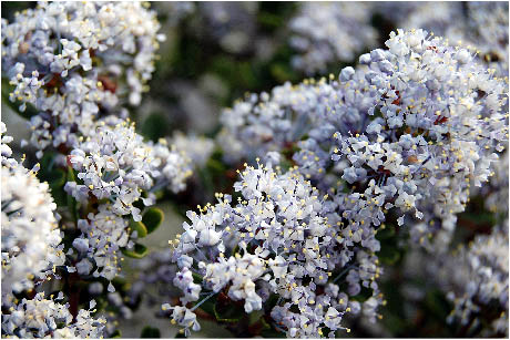 image24.jpg