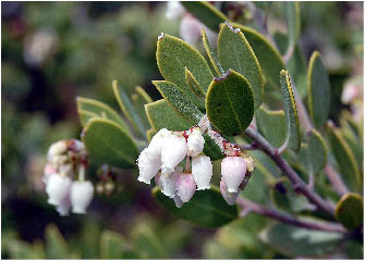image27.jpg