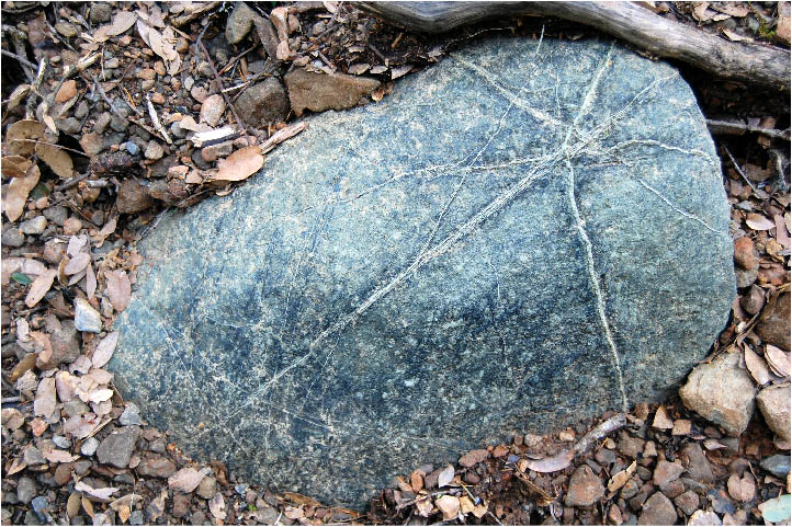 image30.jpg