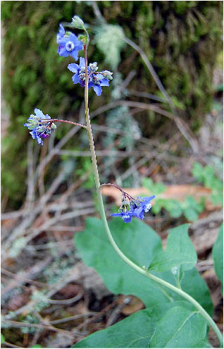 image33.jpg