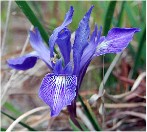 image37.jpg
