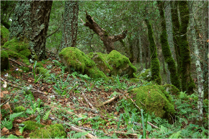 image6.jpg