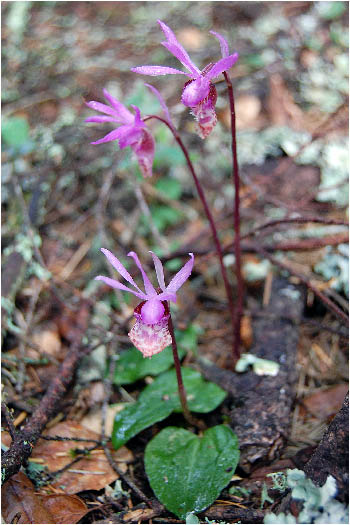 image7.jpg