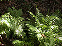 DSCN2603