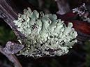 DSCN2601