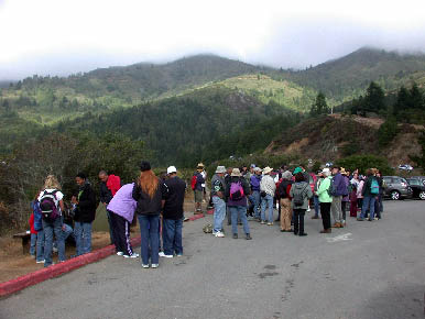 image1.jpg