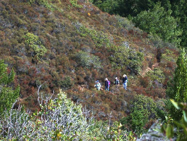 image16.jpg