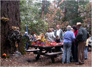 image21.jpg