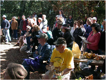 image31.jpg