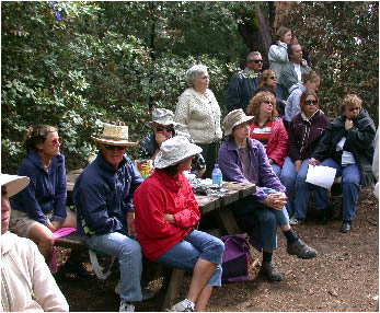 image33.jpg