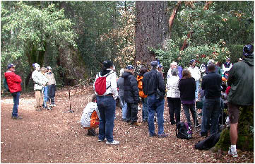 image38.jpg