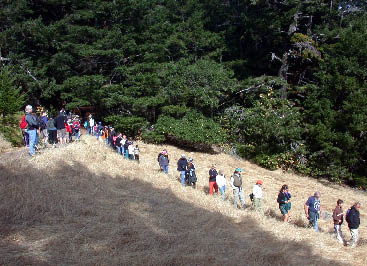 image50.jpg